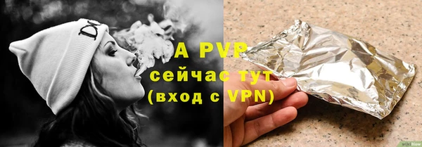 хмурый Бородино