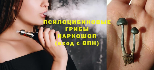 хмурый Бородино