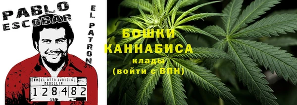 хмурый Бородино