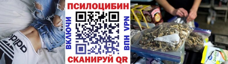 Купить где  Карпинск  Галлюциногенные грибы Cubensis 